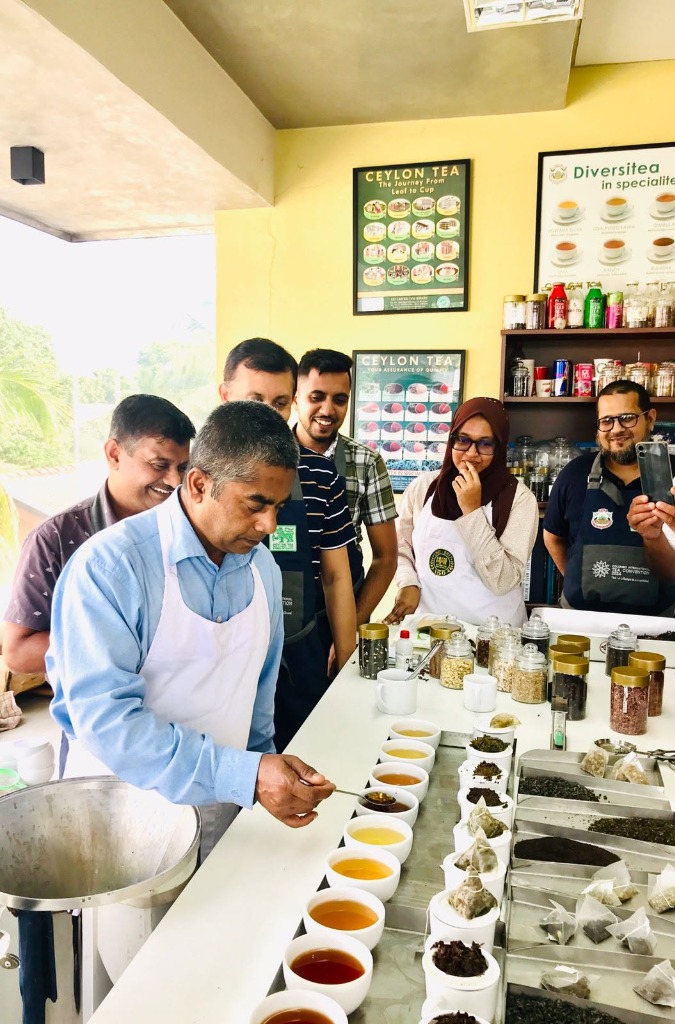 Ceylon Tea Tasting Session